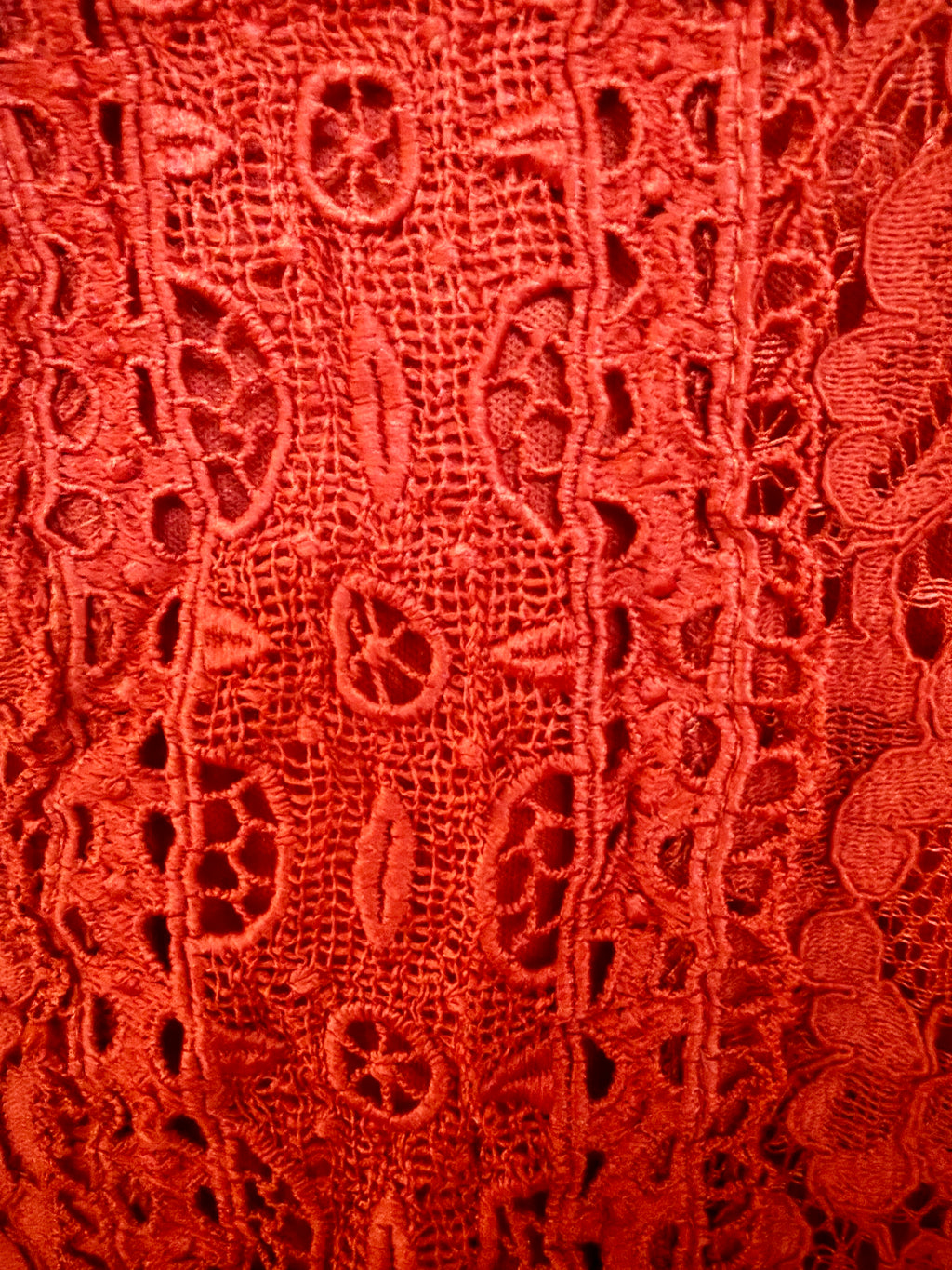 Short Sleeveless Embroidered Dress - Rust - Medium