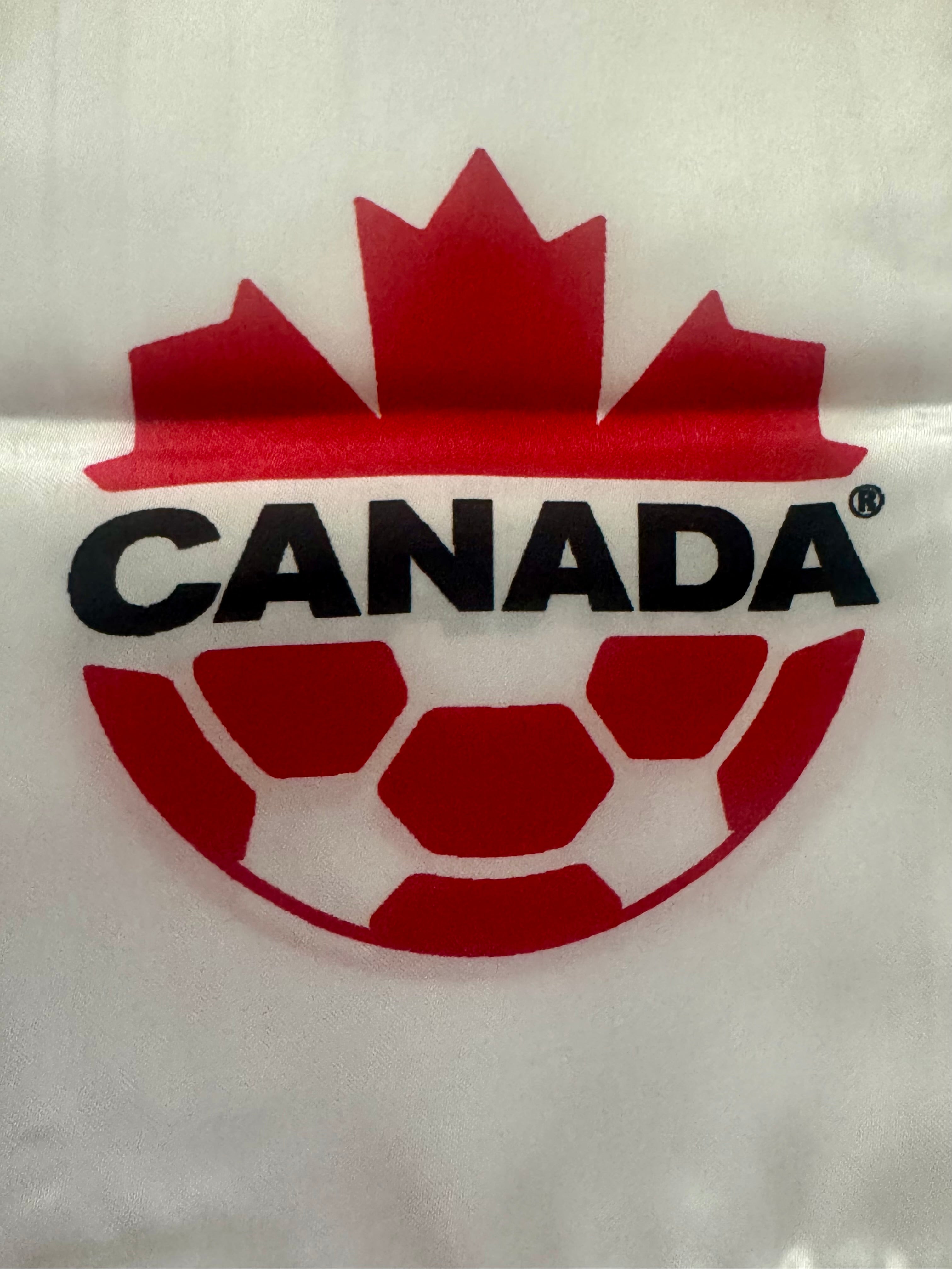 Soccer Scarf Collection - Various Countries